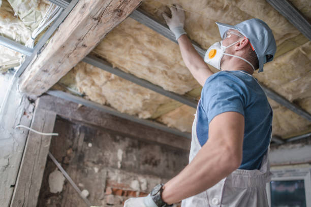 Best Blown-in Insulation in Fort Worth, TX