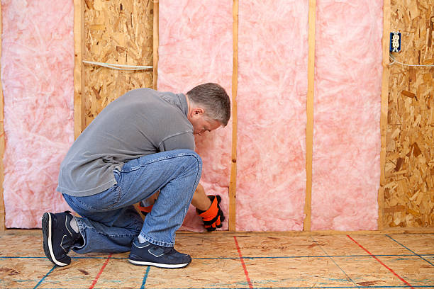 Best DIY Insulation Kits and Guidance in Fort Worth, TX