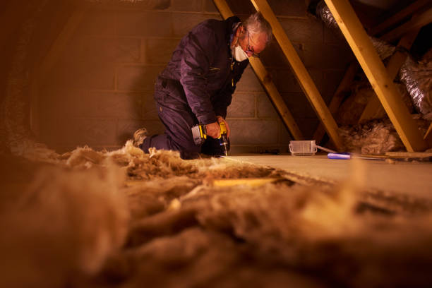 Best Cellulose Insulation in Fort Worth, TX